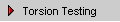 Torsion Testing
