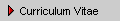 Curriculum Vitae